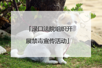 渌口法院组织开展禁毒宣传活动
