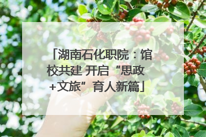 湖南石化职院：馆校共建 开启“思政+文旅”育人新篇