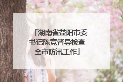 湖南省益阳市委书记陈竞督导检查全市防汛工作