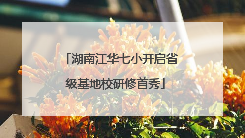 湖南江华七小开启省级基地校研修首秀