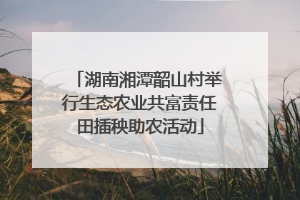 湖南湘潭韶山村举行生态农业共富责任田插秧助农活动