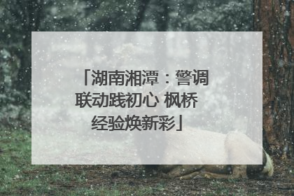湖南湘潭：警调联动践初心 枫桥经验焕新彩