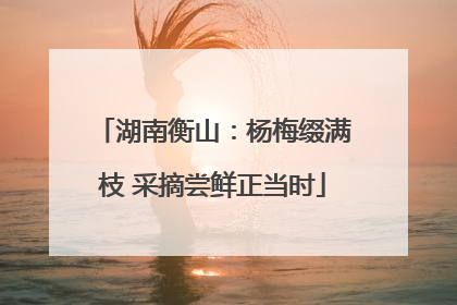 湖南衡山：杨梅缀满枝 采摘尝鲜正当时
