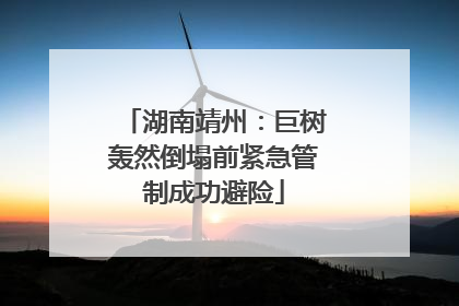 湖南靖州：巨树轰然倒塌前紧急管制成功避险