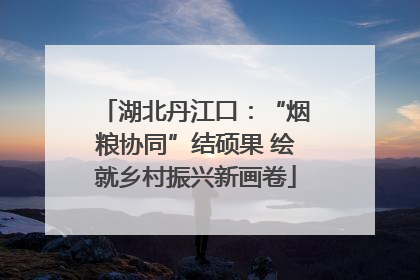 湖北丹江口：“烟粮协同”结硕果 绘就乡村振兴新画卷