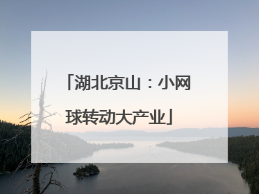 湖北京山：小网球转动大产业