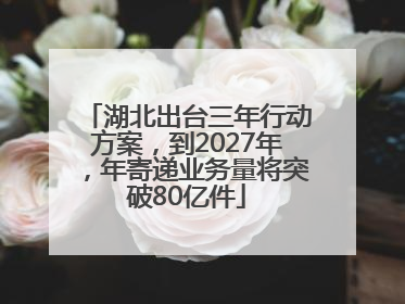 湖北出台三年行动方案，到2027年，年寄递业务量将突破80亿件