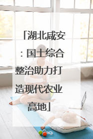 湖北咸安：国土综合整治助力打造现代农业高地