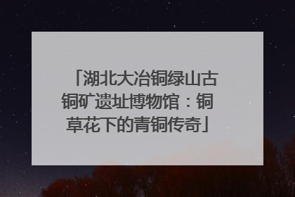 湖北大冶铜绿山古铜矿遗址博物馆：铜草花下的青铜传奇