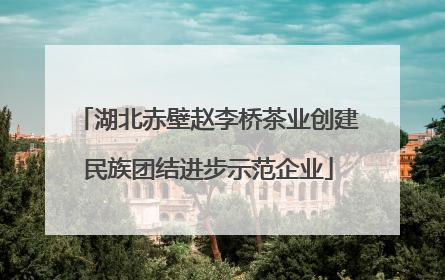 湖北赤壁赵李桥茶业创建民族团结进步示范企业
