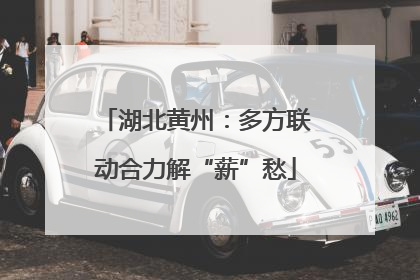 湖北黄州：多方联动合力解“薪”愁