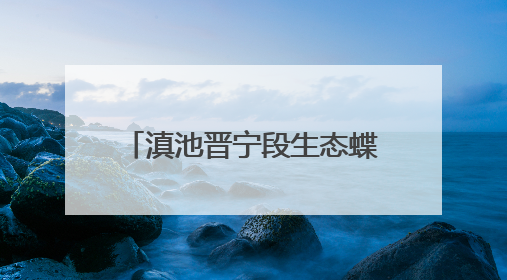 滇池晋宁段生态蝶变，鸟类从89种增至175种！