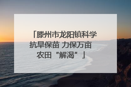 滕州市龙阳镇科学抗旱保苗 力保万亩农田“解渴”