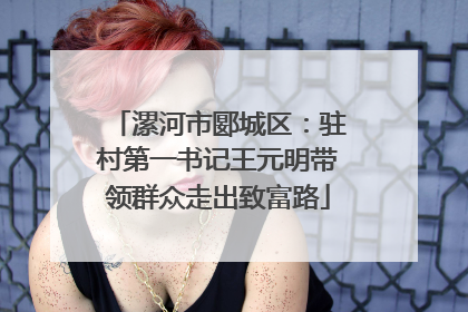 漯河市郾城区：驻村第一书记王元明带领群众走出致富路