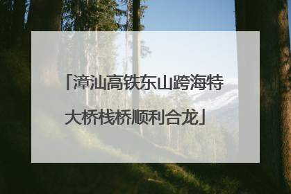 漳汕高铁东山跨海特大桥栈桥顺利合龙