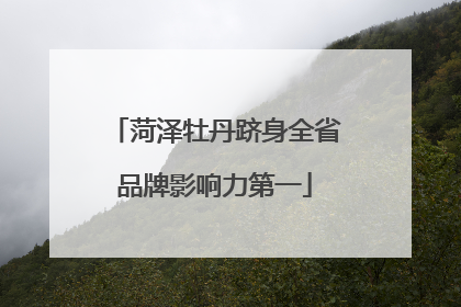 菏泽牡丹跻身全省品牌影响力第一