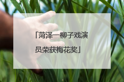 菏泽一柳子戏演员荣获梅花奖