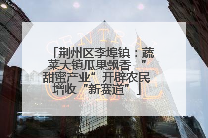 荆州区李埠镇：蔬菜大镇瓜果飘香 “甜蜜产业”开辟农民增收“新赛道”
