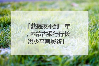 获提拔不到一年，内蒙古银行行长洪少平再履新