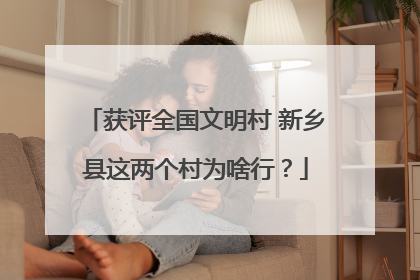 获评全国文明村 新乡县这两个村为啥行？