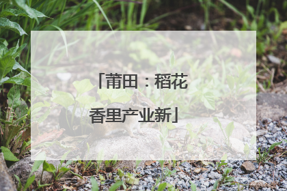 莆田：稻花香里产业新