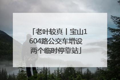 老叶较真丨宝山1604路公交车增设两个临时停靠站