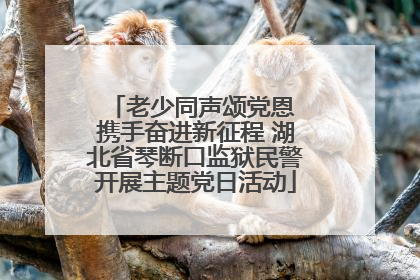 老少同声颂党恩 携手奋进新征程 湖北省琴断口监狱民警开展主题党日活动