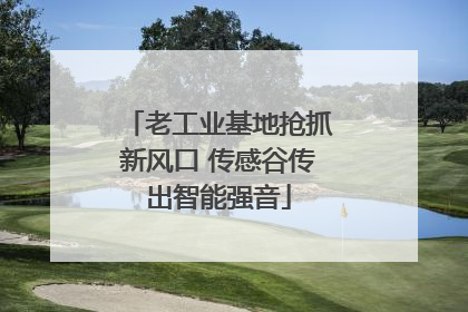 老工业基地抢抓新风口 传感谷传出智能强音