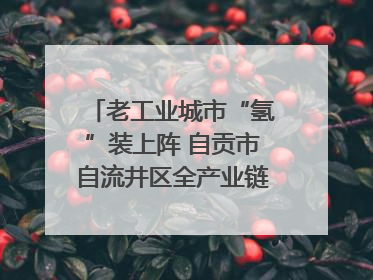 老工业城市“氢”装上阵 自贡市自流井区全产业链冲刺氢能装备制造新高地｜美好生活有“盐”味
