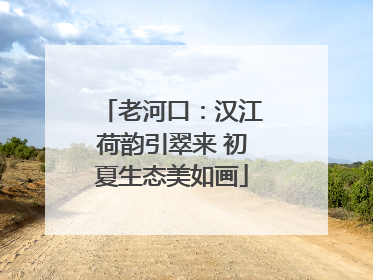 老河口：汉江荷韵引翠来 初夏生态美如画