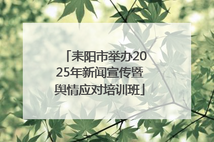 耒阳市举办2025年新闻宣传暨舆情应对培训班