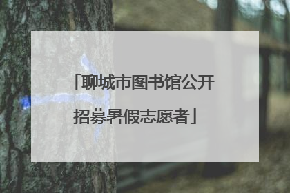 聊城市图书馆公开招募暑假志愿者