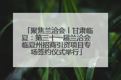 聚焦兰洽会丨甘肃临夏：第三十一届兰洽会临夏州招商引资项目专场签约仪式举行