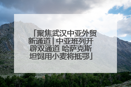 聚焦武汉中亚外贸新通道│中亚班列开辟双通道 哈萨克斯坦饲用小麦将抵鄂