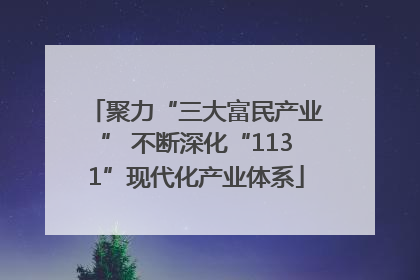 聚力“三大富民产业” 不断深化“1131”现代化产业体系