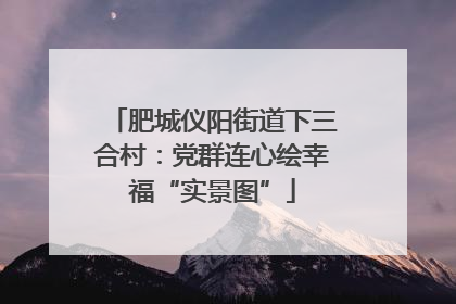 肥城仪阳街道下三合村：党群连心绘幸福“实景图”