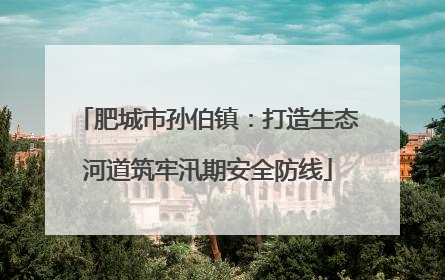 肥城市孙伯镇：打造生态河道筑牢汛期安全防线