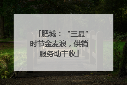 肥城：“三夏”时节金麦浪，供销服务助丰收
