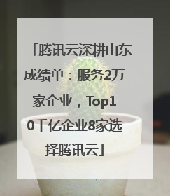 腾讯云深耕山东成绩单：服务2万家企业，Top10千亿企业8家选择腾讯云