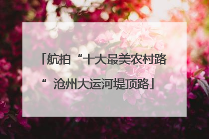 航拍“十大最美农村路”沧州大运河堤顶路