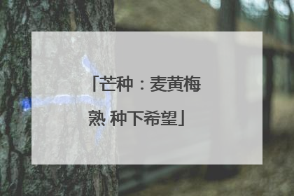 芒种：麦黄梅熟 种下希望