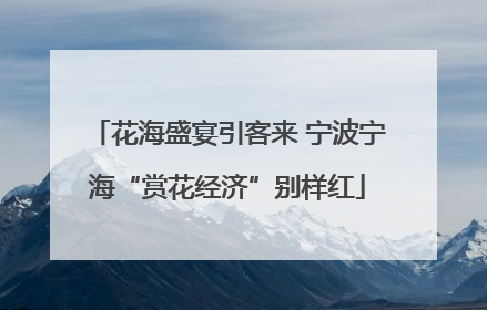 花海盛宴引客来 宁波宁海“赏花经济”别样红