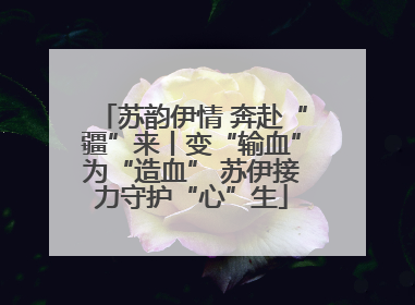 苏韵伊情 奔赴“疆”来丨变“输血”为“造血” 苏伊接力守护“心”生