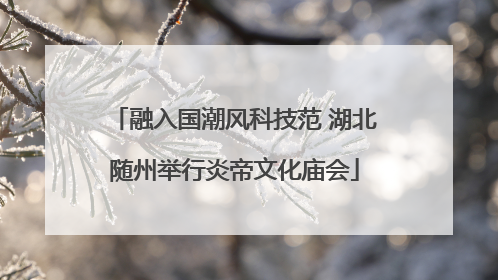 融入国潮风科技范 湖北随州举行炎帝文化庙会
