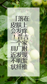 落在皮肤上会发痒！普吉一个家具厂附近发现不明絮状纤维物