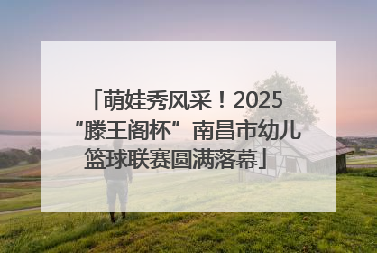 萌娃秀风采！2025“滕王阁杯”南昌市幼儿篮球联赛圆满落幕