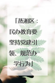 蒸湘区：民办教育要坚持党建引领、规范办学行为