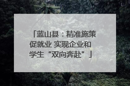 蓝山县：精准施策促就业 实现企业和学生“双向奔赴”