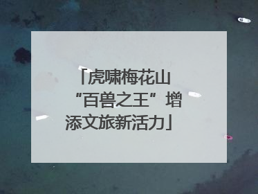 虎啸梅花山 “百兽之王”增添文旅新活力