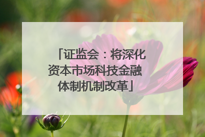 证监会：将深化资本市场科技金融体制机制改革